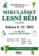 běžci na lesní cestě