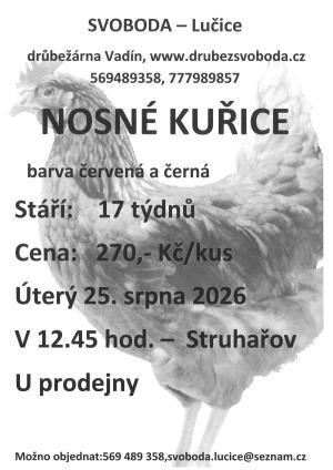 Prodej kuřic